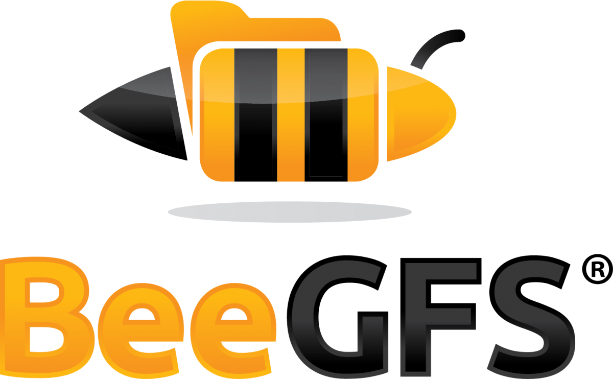 Introducing the BeeGFS Parallel File System