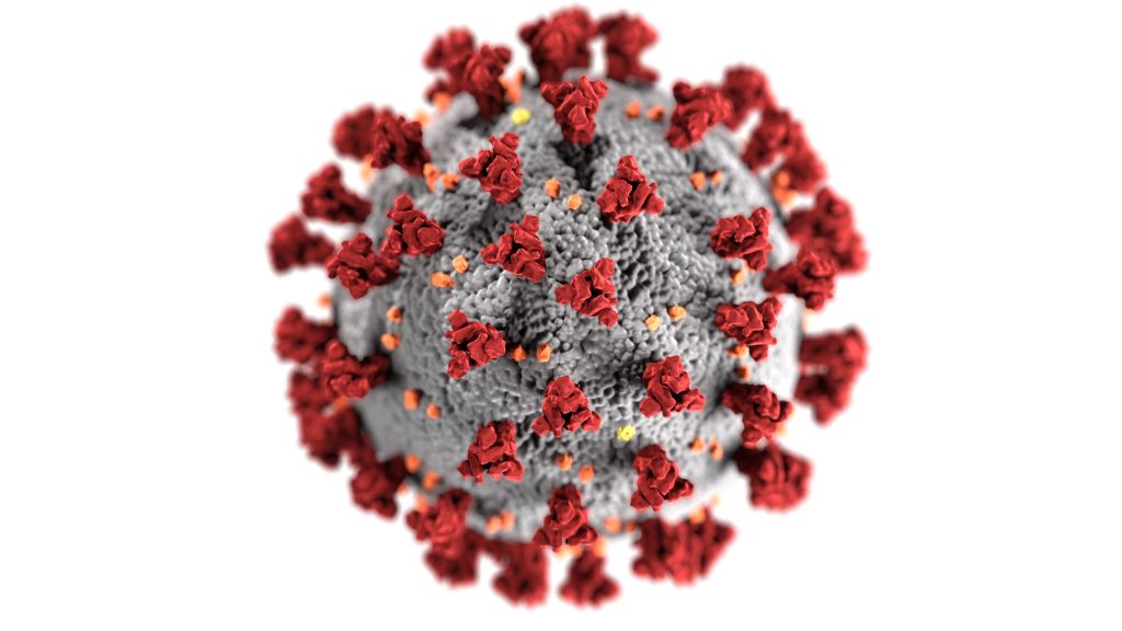 CDC image of Covid-19